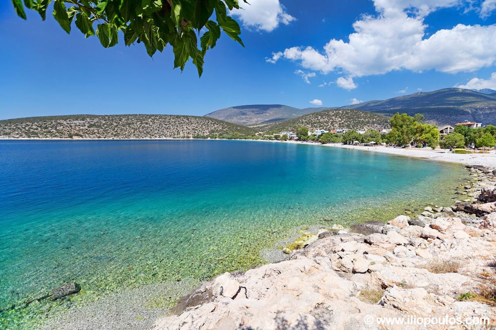 Photo of Others in Phthiotis Region