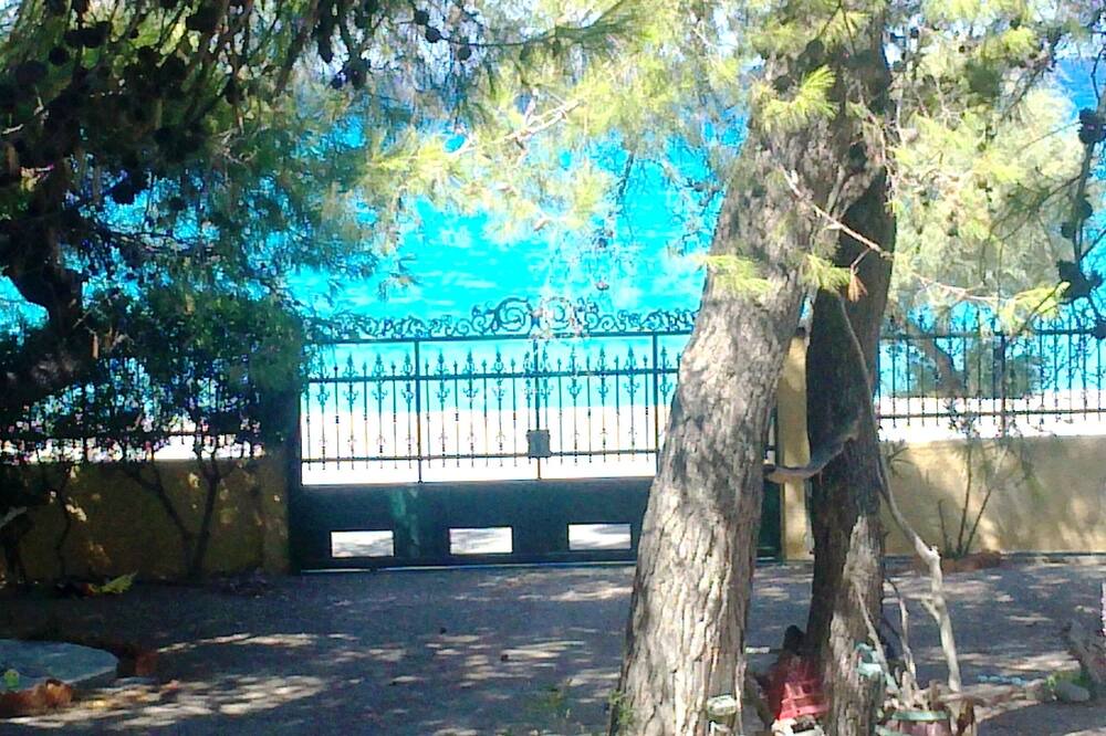 Photo of Outdoor in Psatha