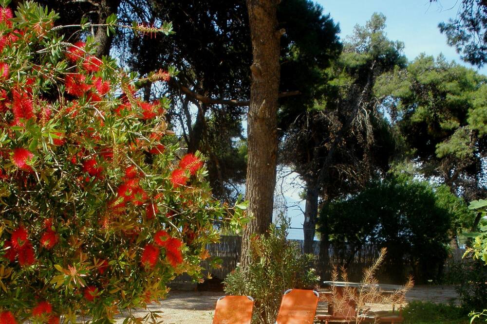 Photo of Outdoor in Psatha