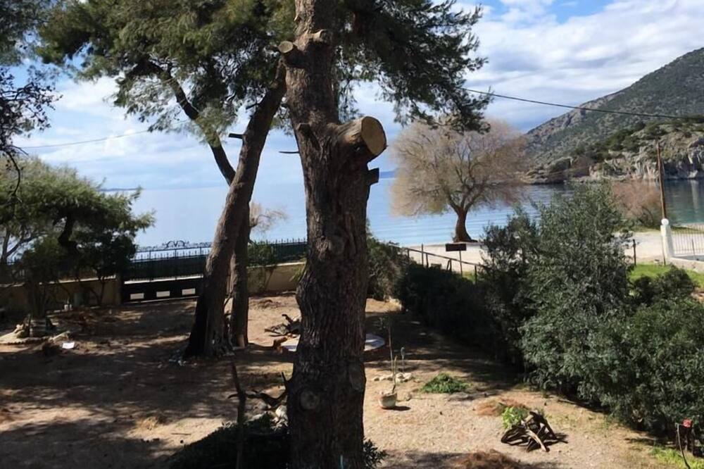 Photo of Outdoor in Psatha