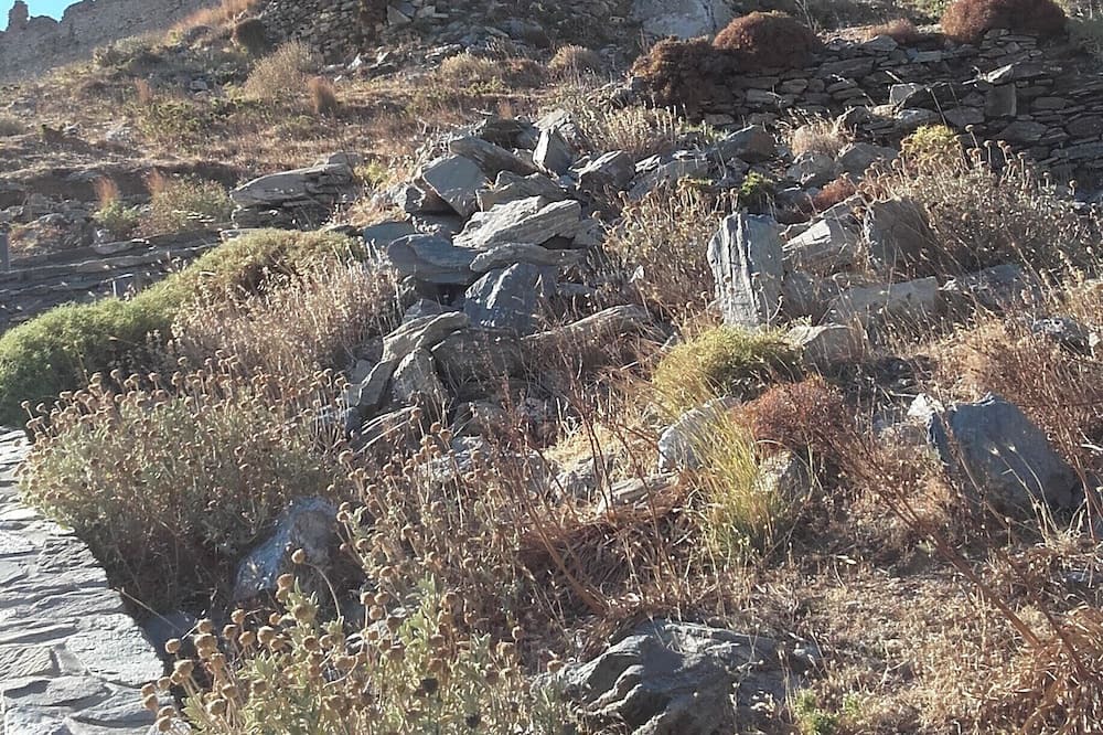 Photo of Others in Grambia