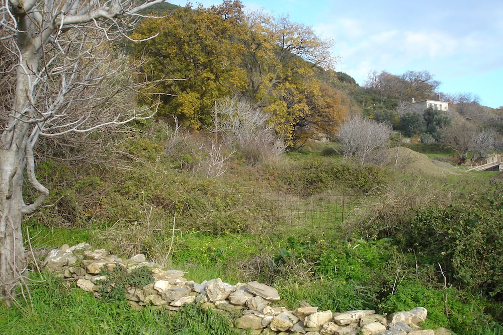 Photo of Outdoor in Grambia