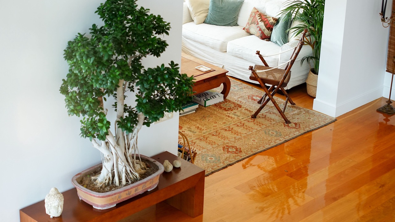 Photo of Livingroom in Skidra