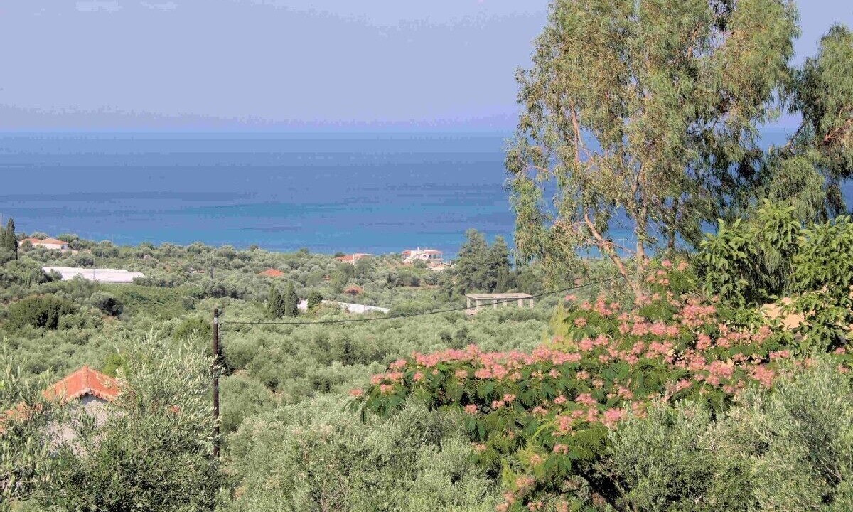 Photo of Others in Kompi