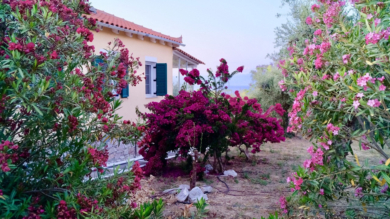 Photo of Outdoor in Kompi