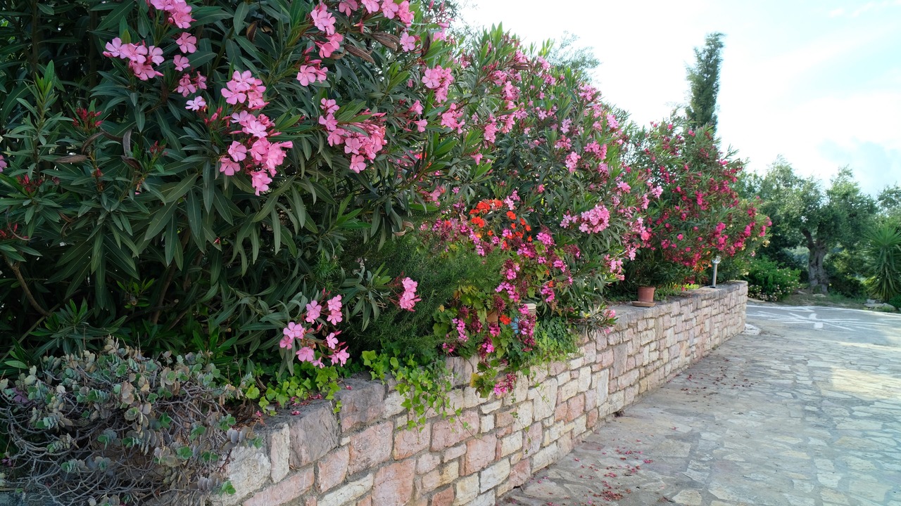 Photo of Outdoor in Kompi