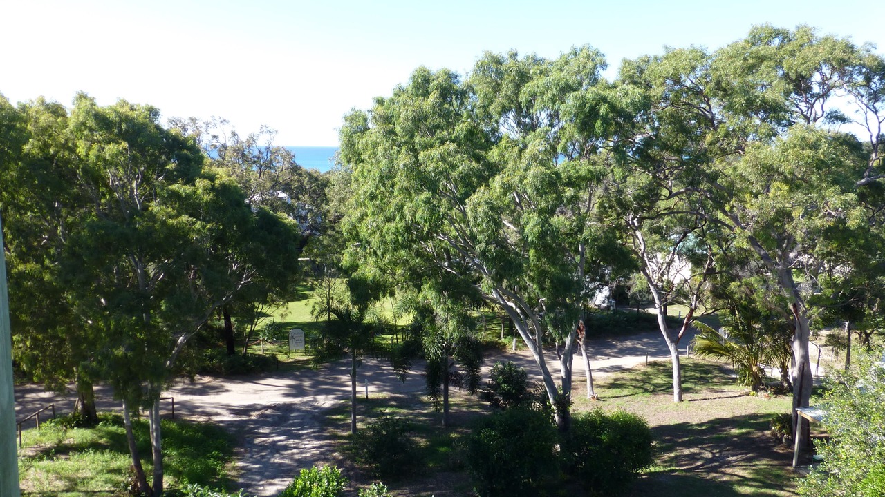 Photo of Outdoor in Orchid Beach