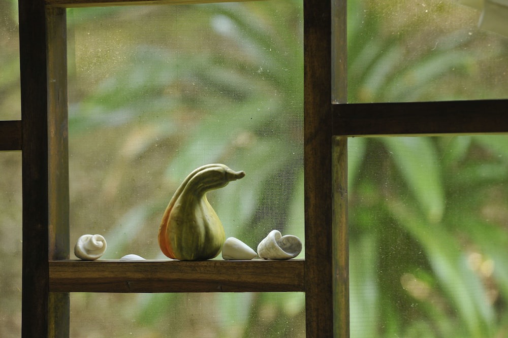 Photo of Others in Esterillos