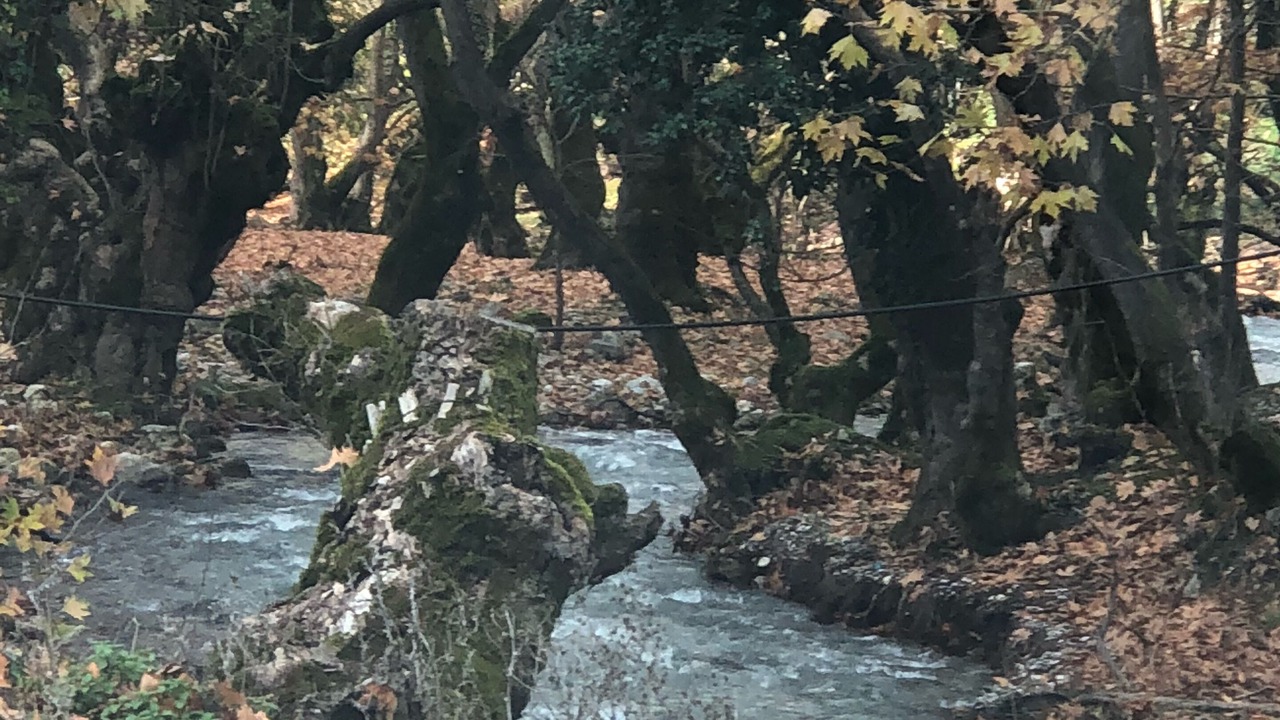 Photo of Outdoor in Planiteron