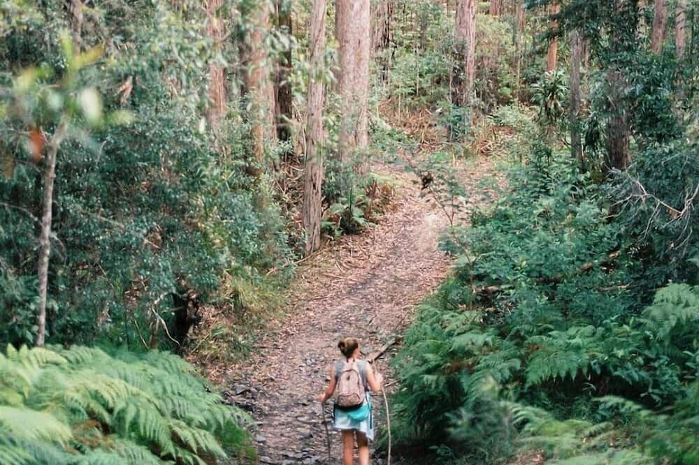 Photo of Outdoor in Cooran