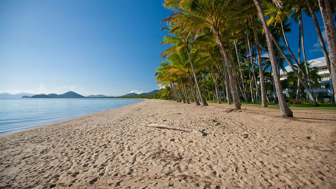 Photo of Others in Palm Cove