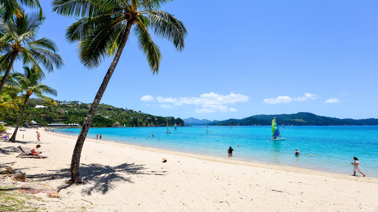 Photo of Others in Hamilton Island