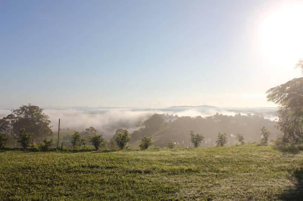 Photo of Outdoor in Cooroy