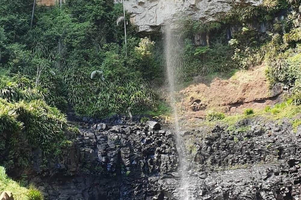 Photo of Outdoor in Springbrook