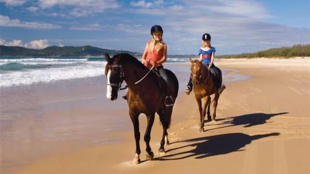 Photo of Others in Noosa North Shore