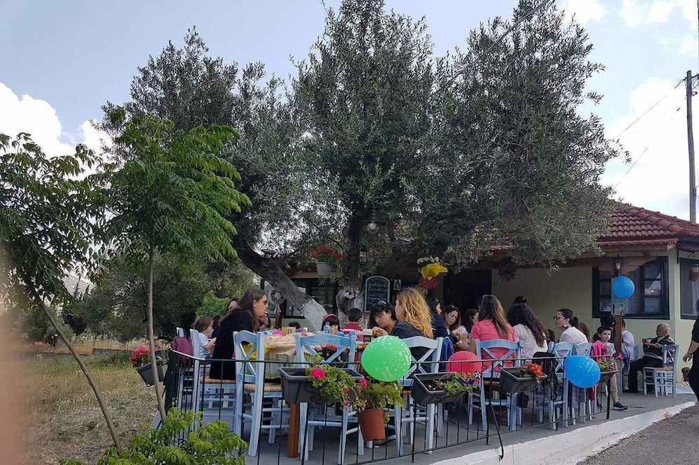 Photo of Others in Logarata