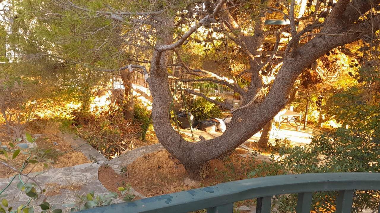 Photo of Outdoor in Saronikos
