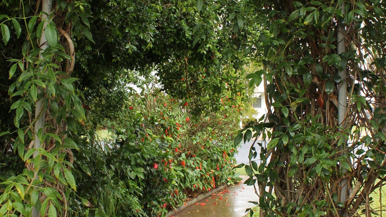 Photo of Outdoor in Elliott Heads