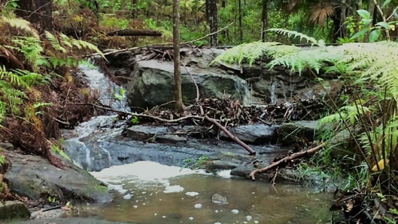 Photo of Outdoor in Tinbeerwah