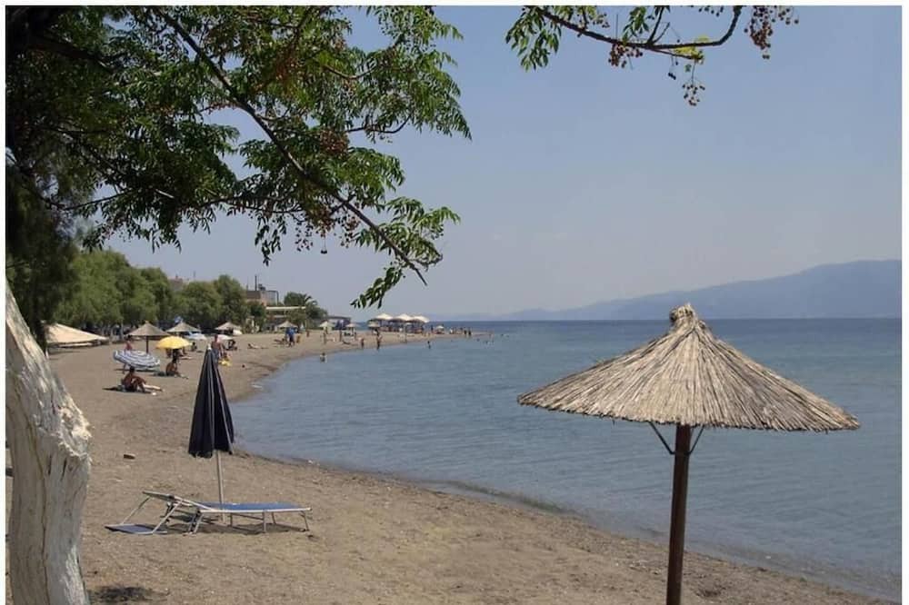 Photo of Others in Eretria