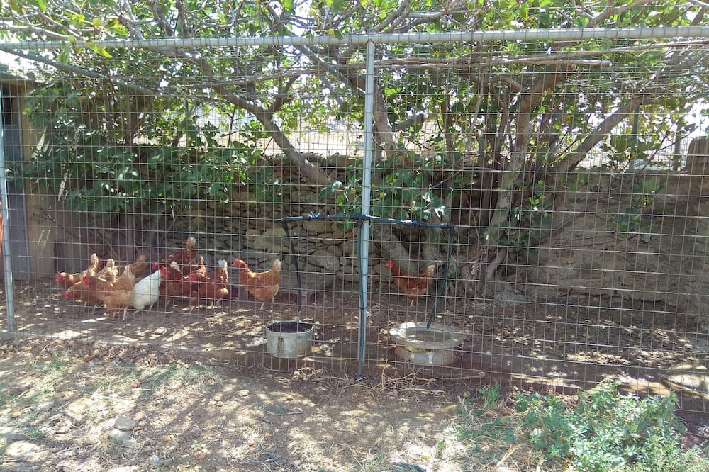 Photo of Others in Ydrousa