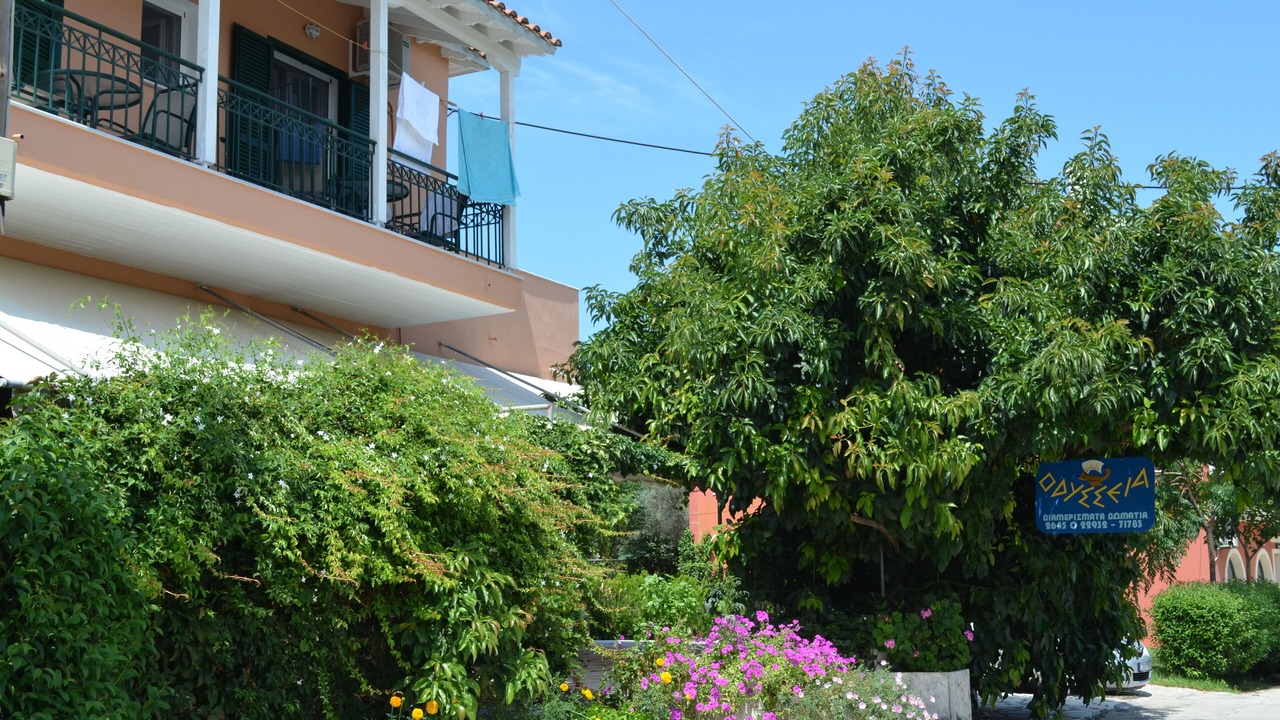 Photo of Outdoor in Nikiana