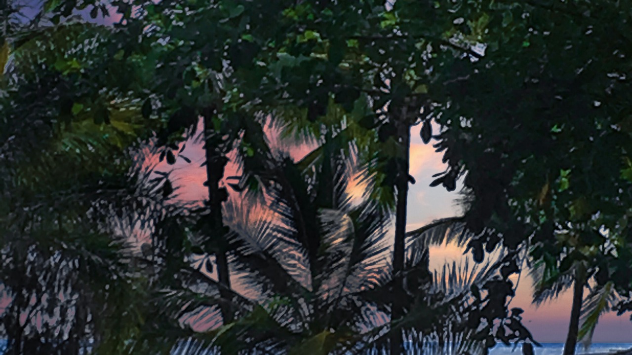 Photo of Outdoor in Palm Cove