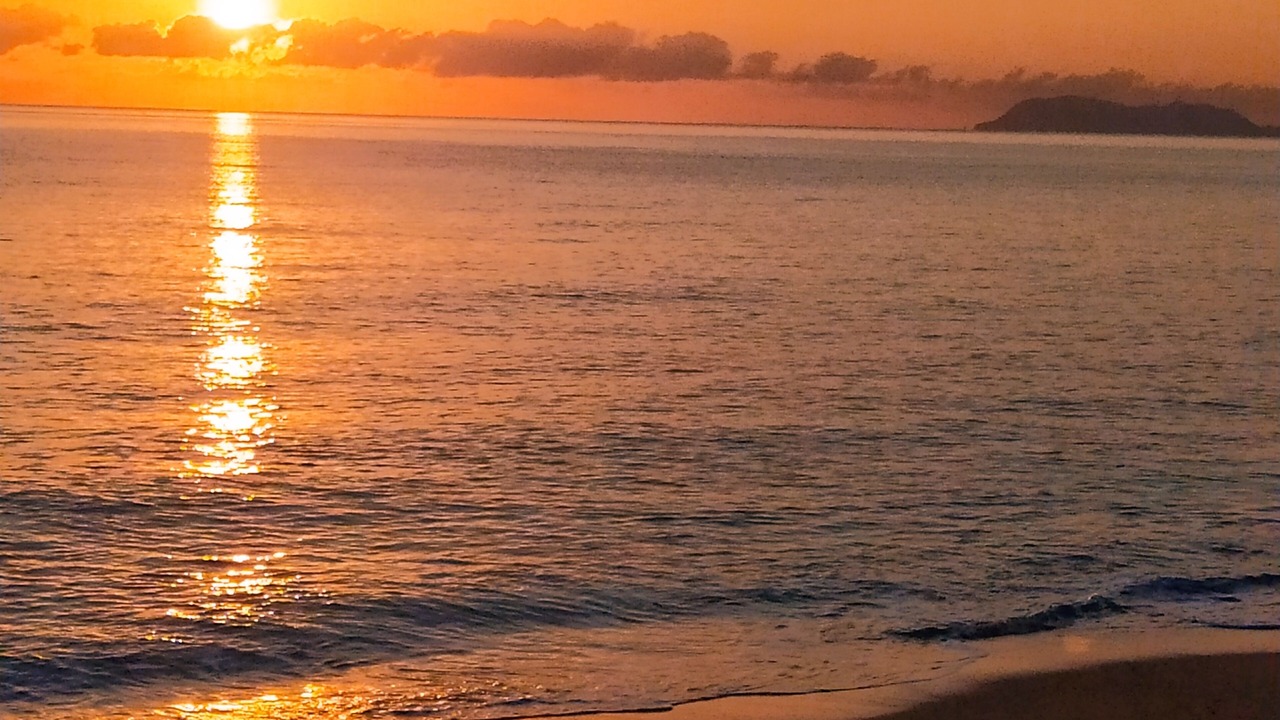 Photo of Others in Palm Cove