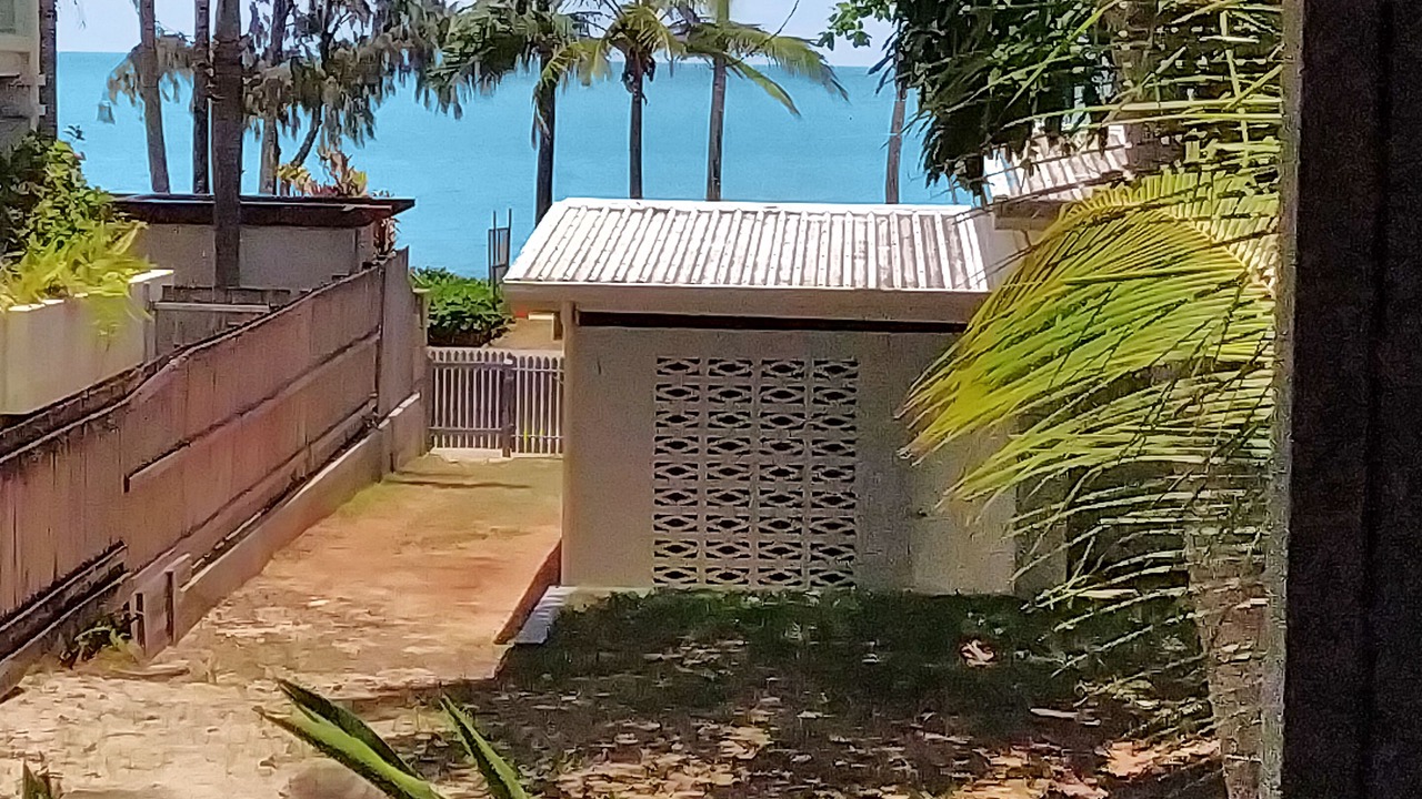 Photo of Outdoor in Palm Cove