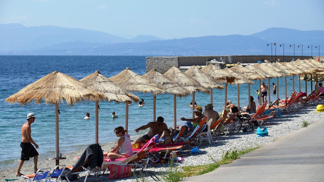 Photo of Others in Ilia