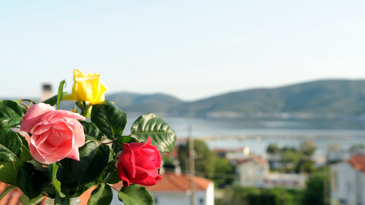 Photo of Outdoor in Agii Apostoli