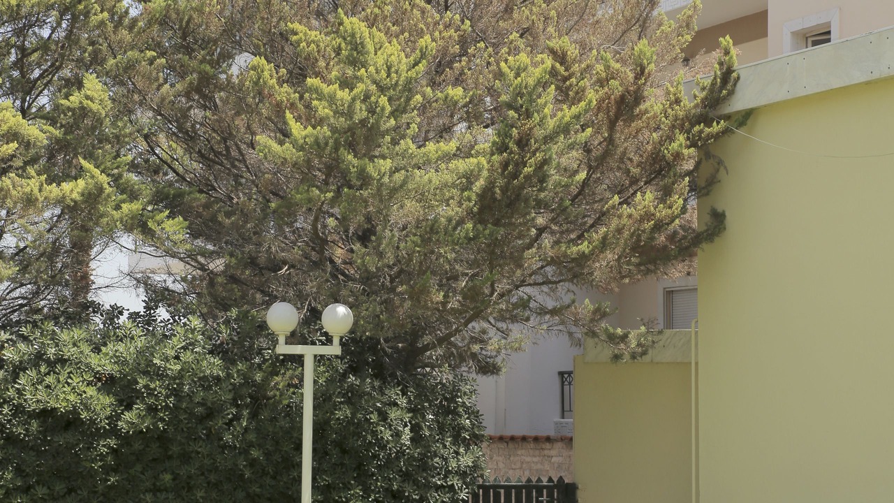 Photo of Outdoor in Metamorfosi