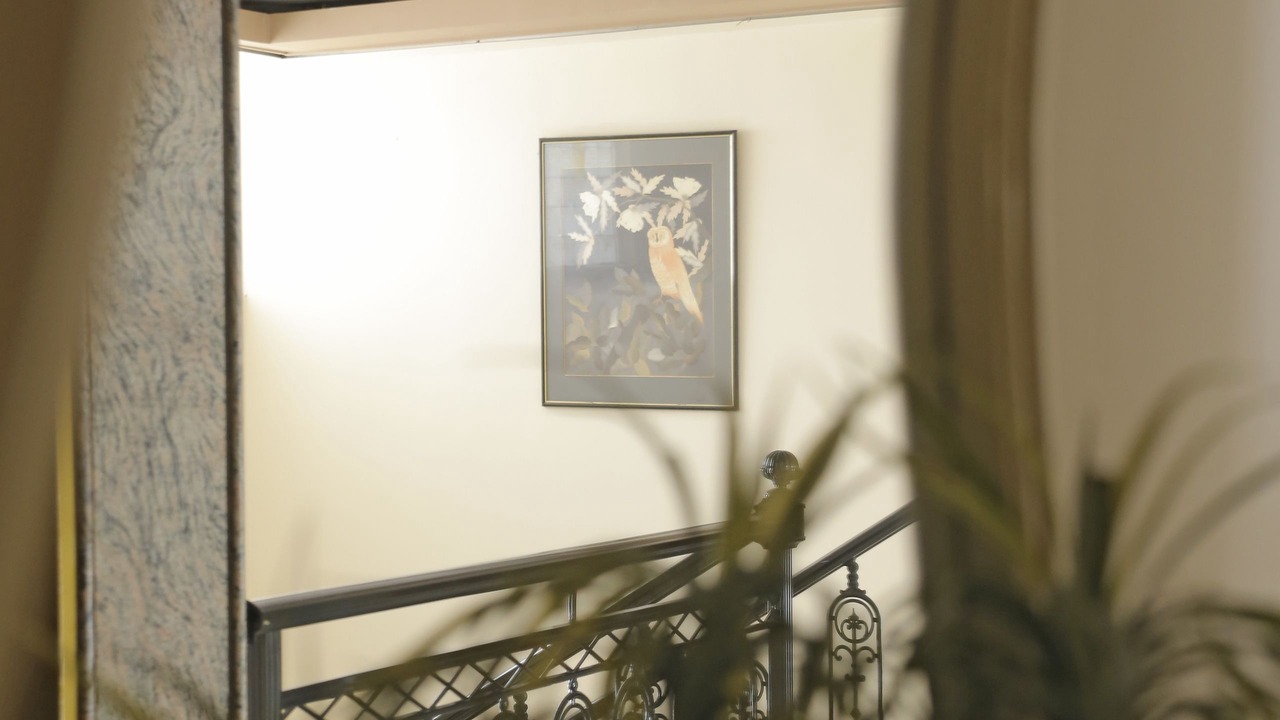 Photo of Others in Metamorfosi