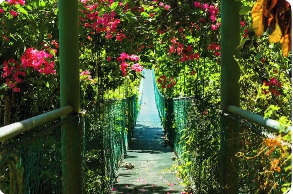 Photo of Outdoor in Montezuma