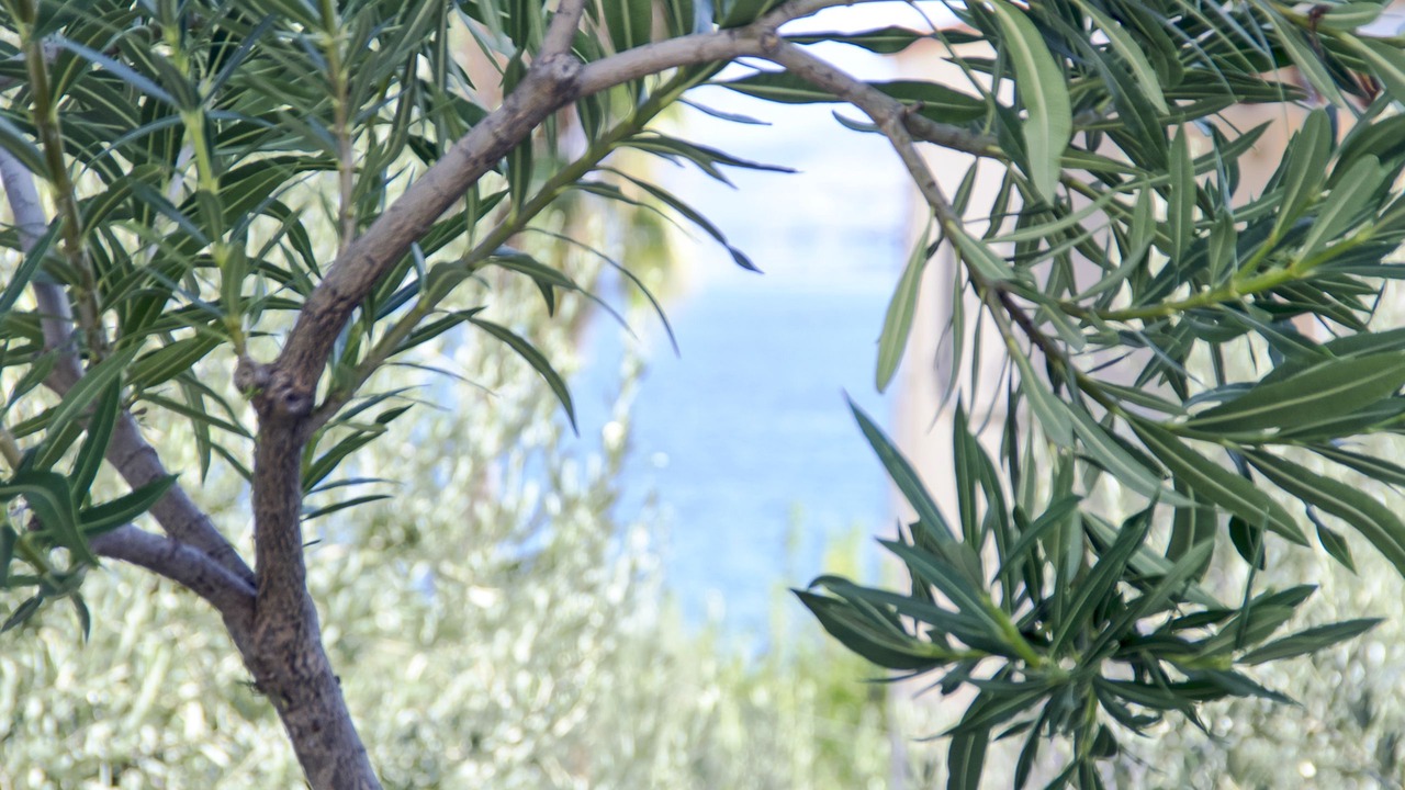 Photo of Outdoor in Kefalari