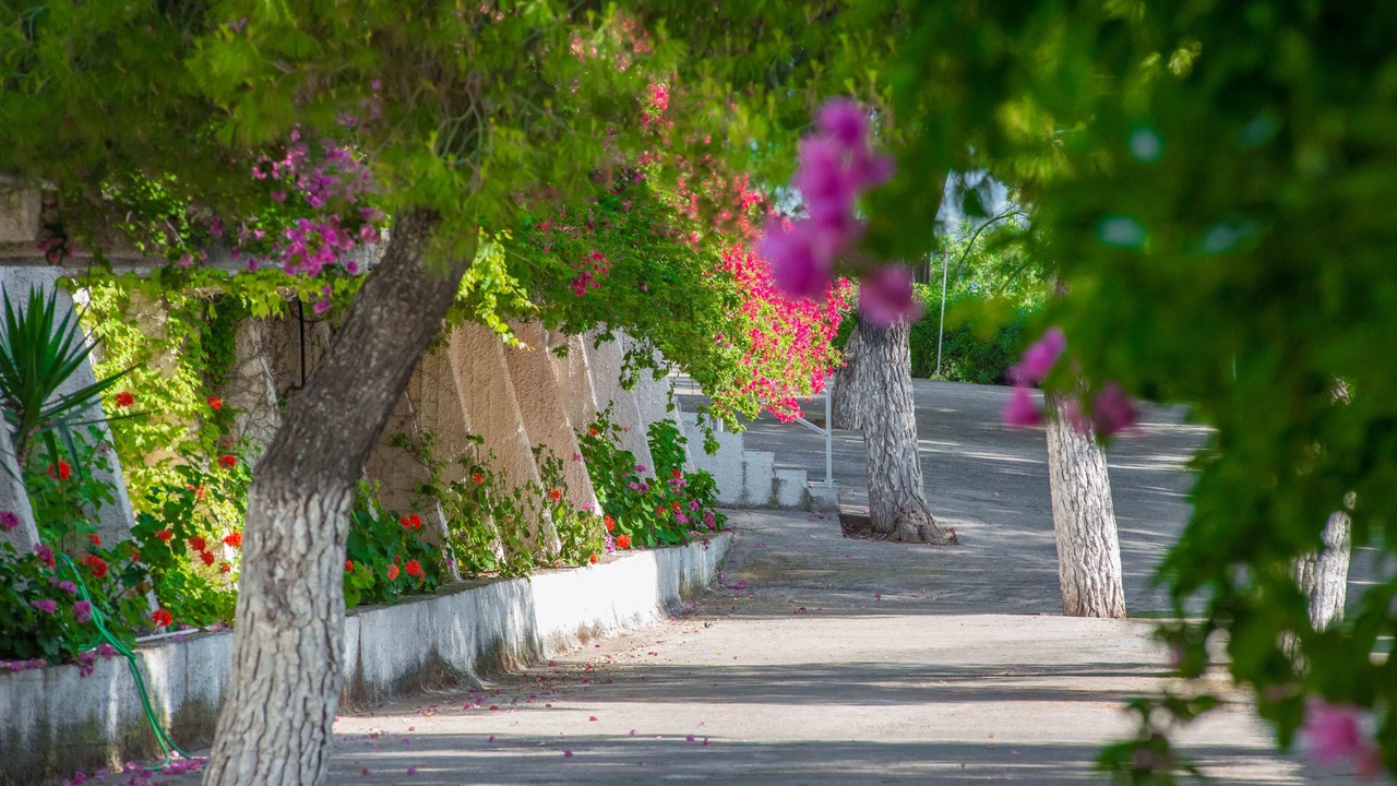 Photo of Outdoor in Monemvasia