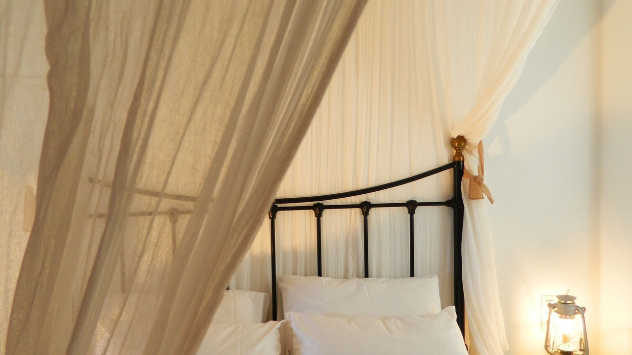 Photo of Bedroom in Pachena