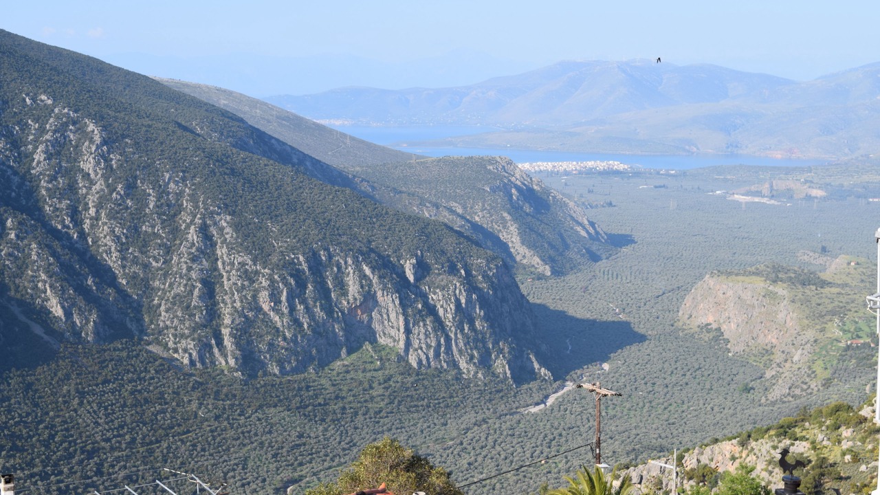 Photo of Others in Delphi