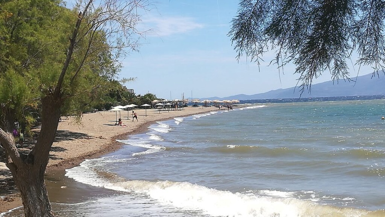 Photo of Others in Eretria