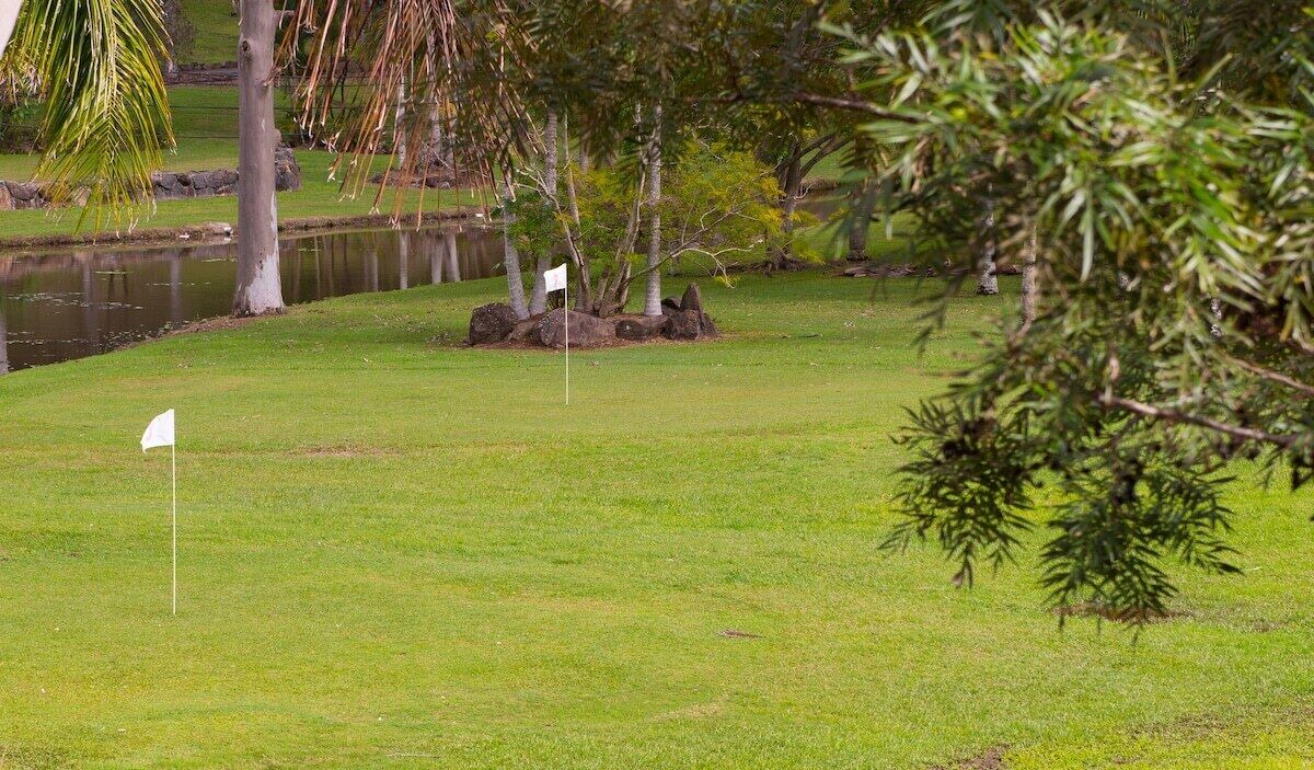 Photo of Others in Advancetown