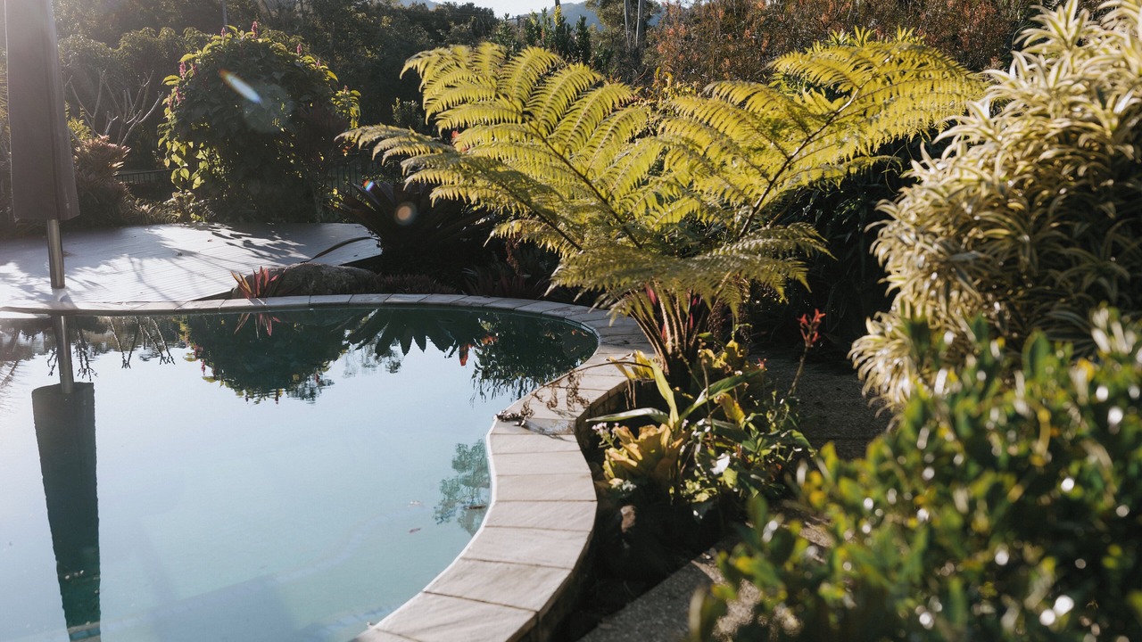 Photo of Outdoor in Tallebudgera Valley