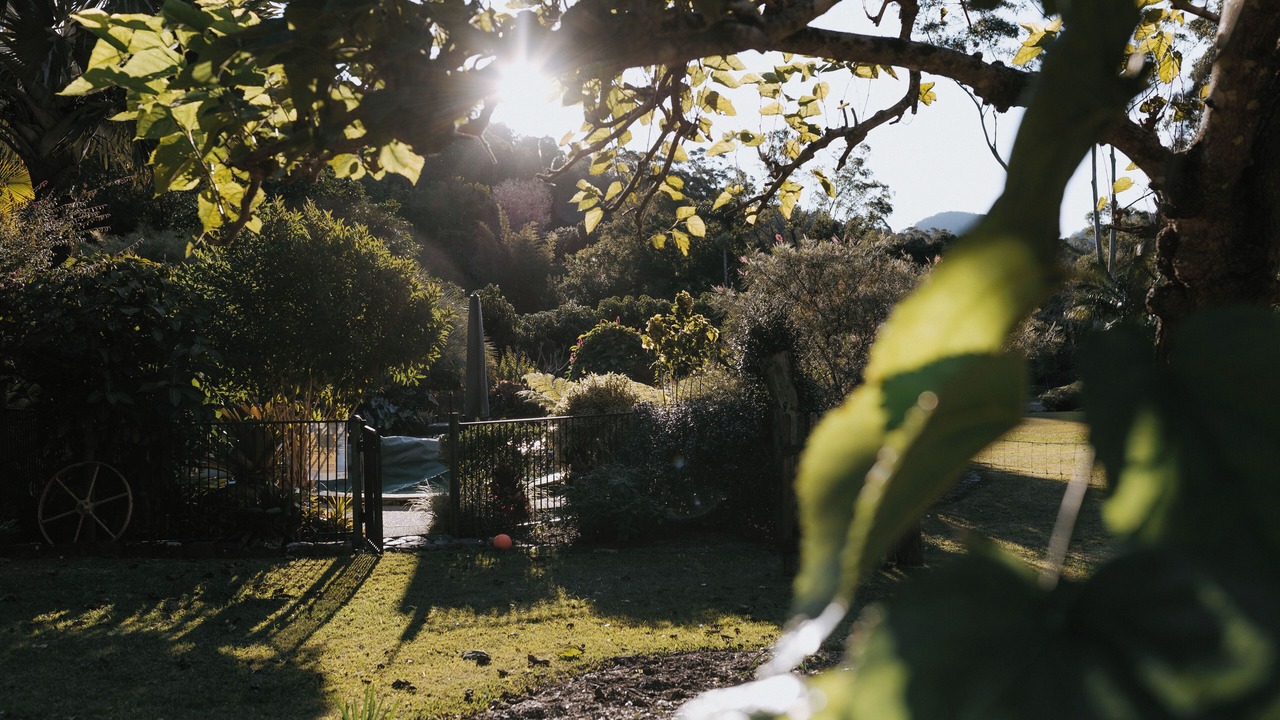 Photo of Outdoor in Tallebudgera Valley