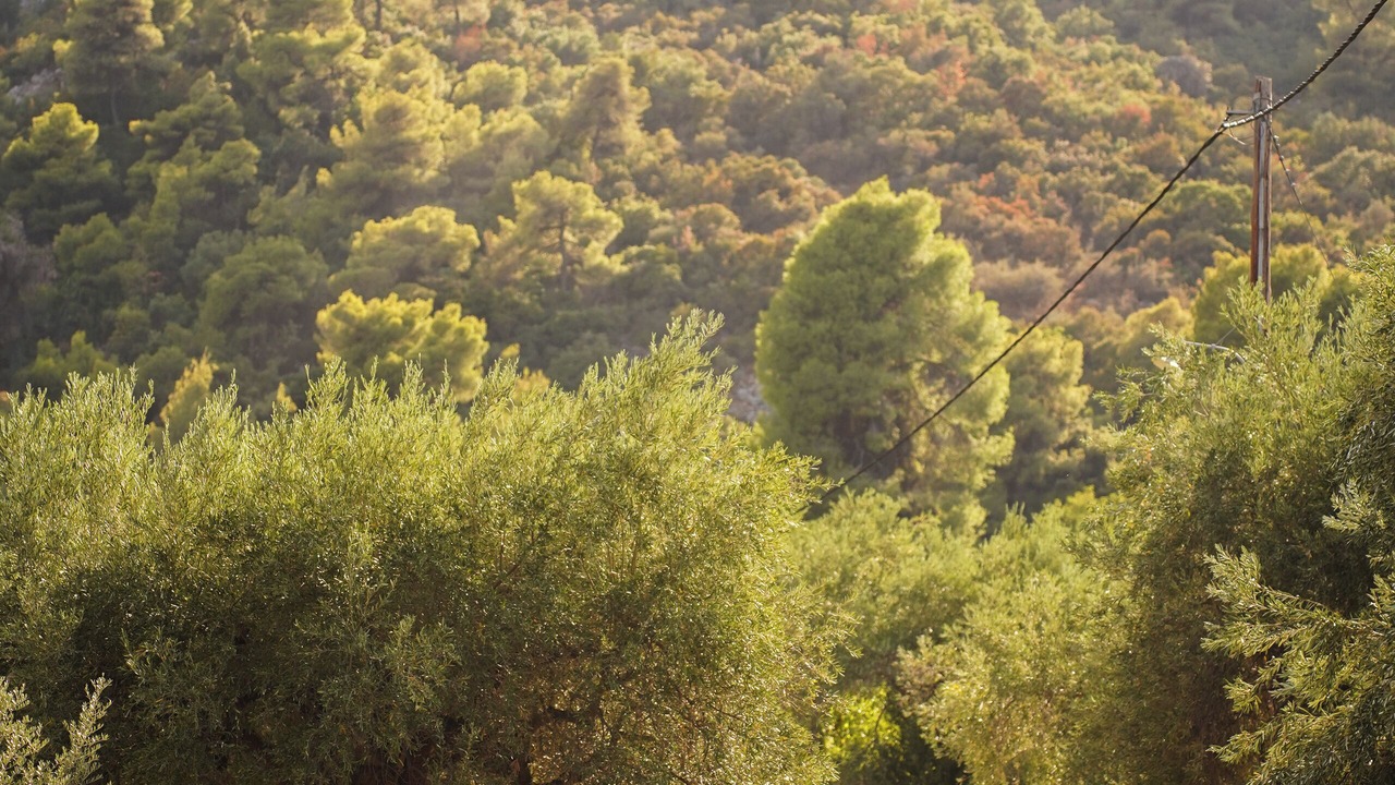 Photo of Outdoor in Kamena Vourla