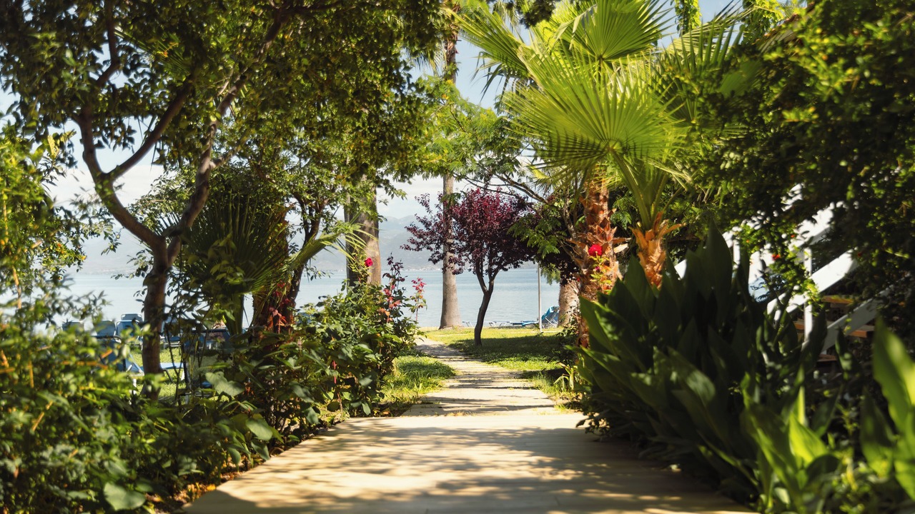 Photo of Outdoor in Kamena Vourla