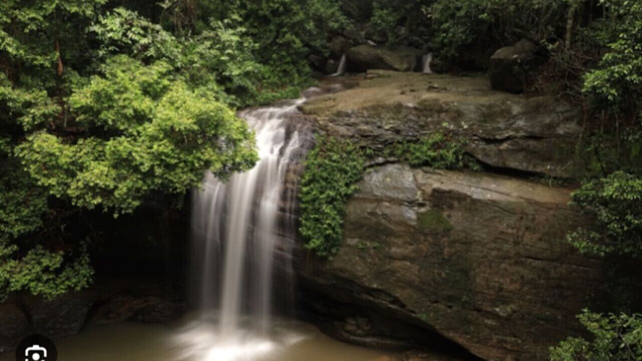 Photo of Others in Buderim