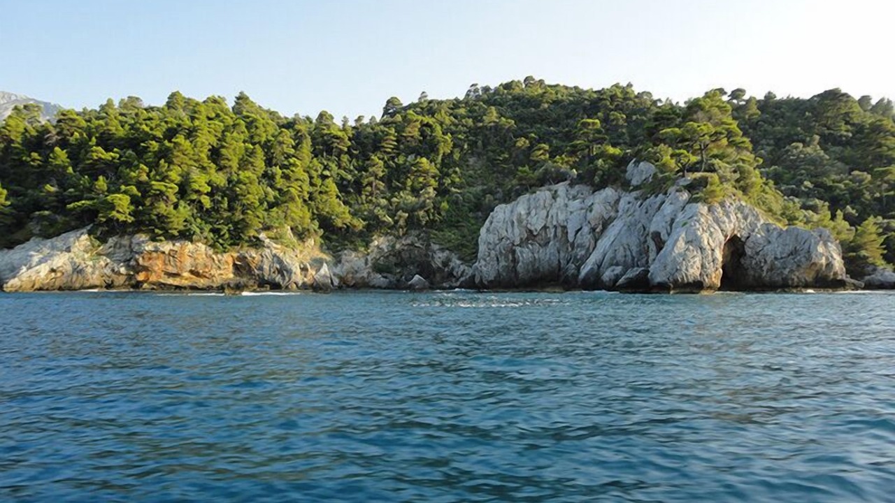 Photo of Others in Pilio
