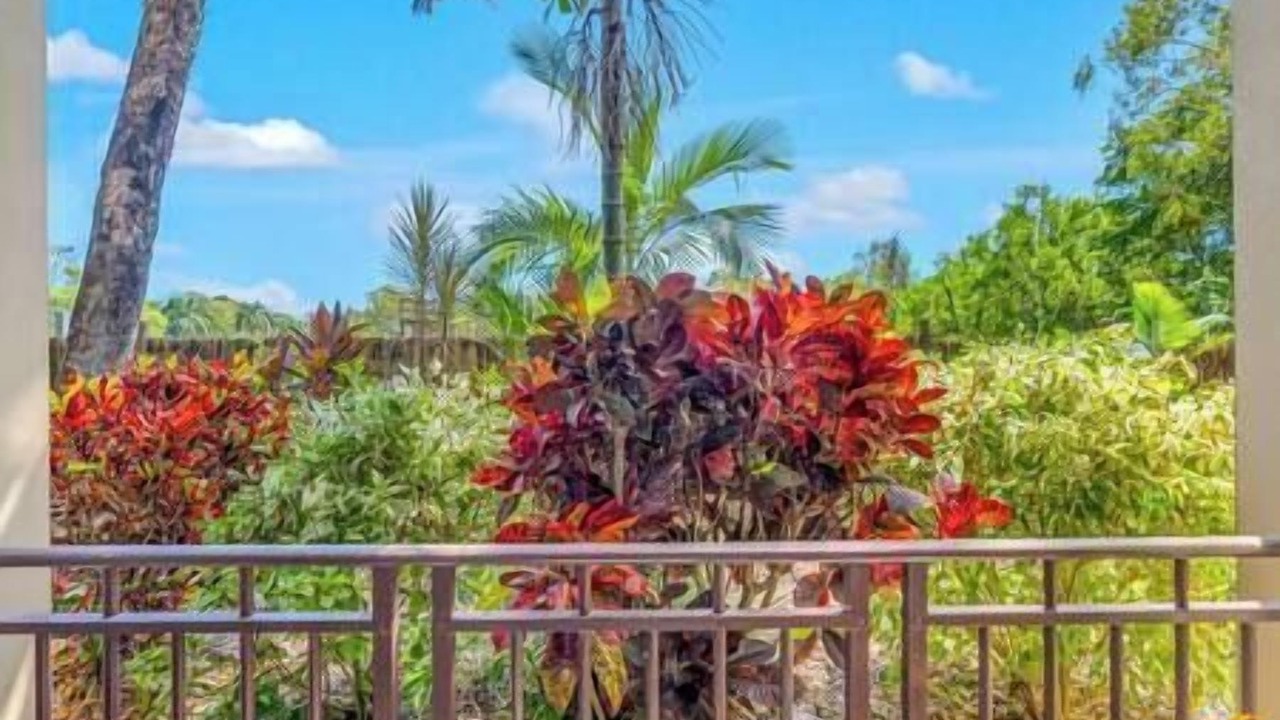 Photo of Outdoor in Cairns