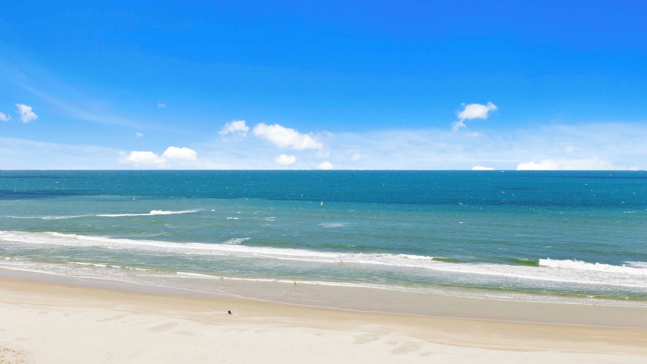 Photo of Others in Palm Beach