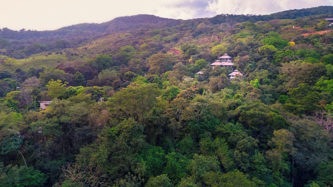 Photo of Outdoor in San Mateo