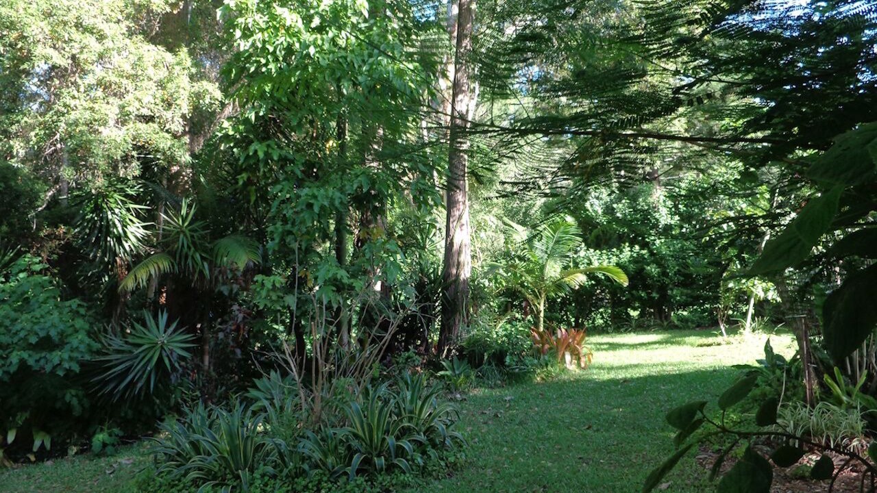 Photo of Outdoor in Tinbeerwah